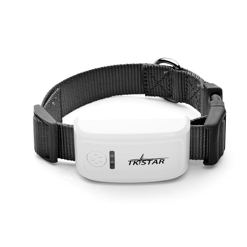Pet Trackers & Accessories