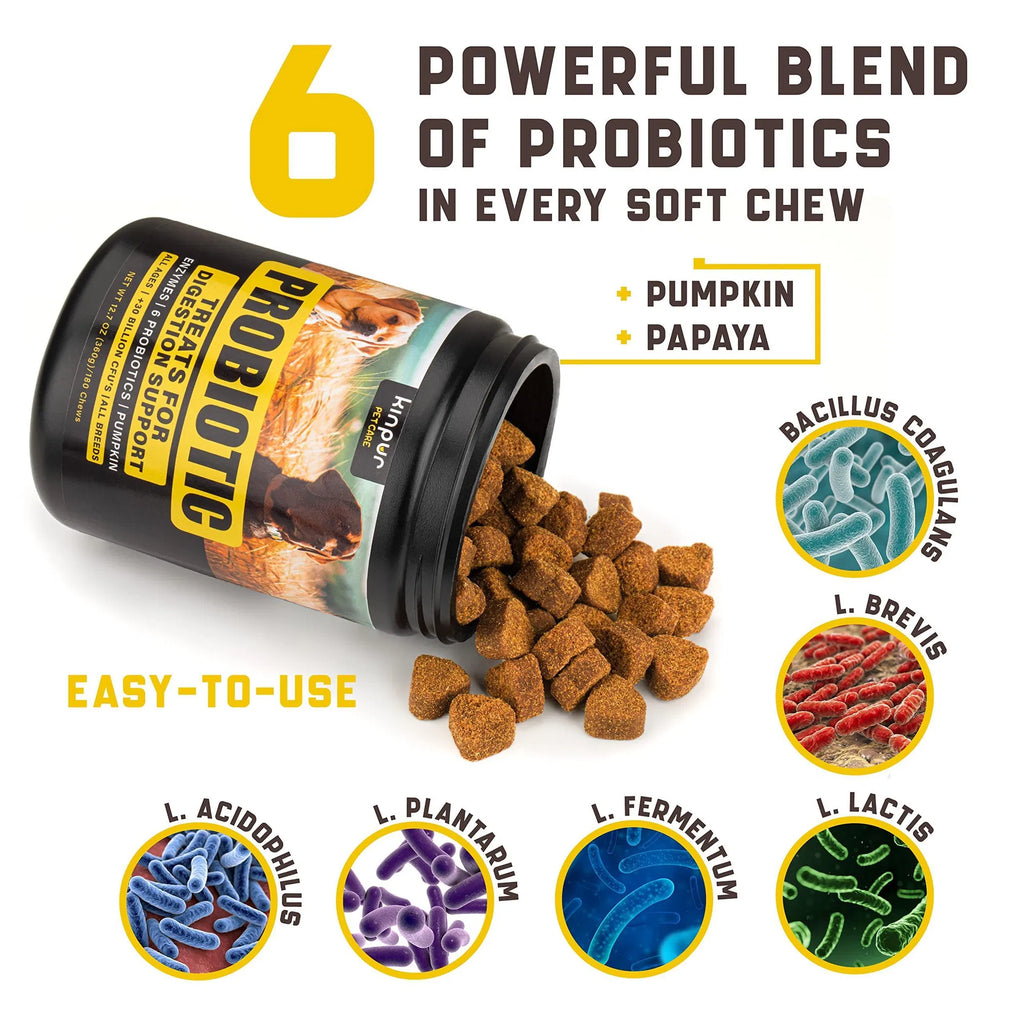 NO AMAZON Probiotics For Dogs Support Gut Health Itchy Skin Allergies Yeast Balance Immunity Probiotics And Digestive Enzymes For Small Medium And Large Dogs 180 Probiotic Chews For Dogs Duck Flavor