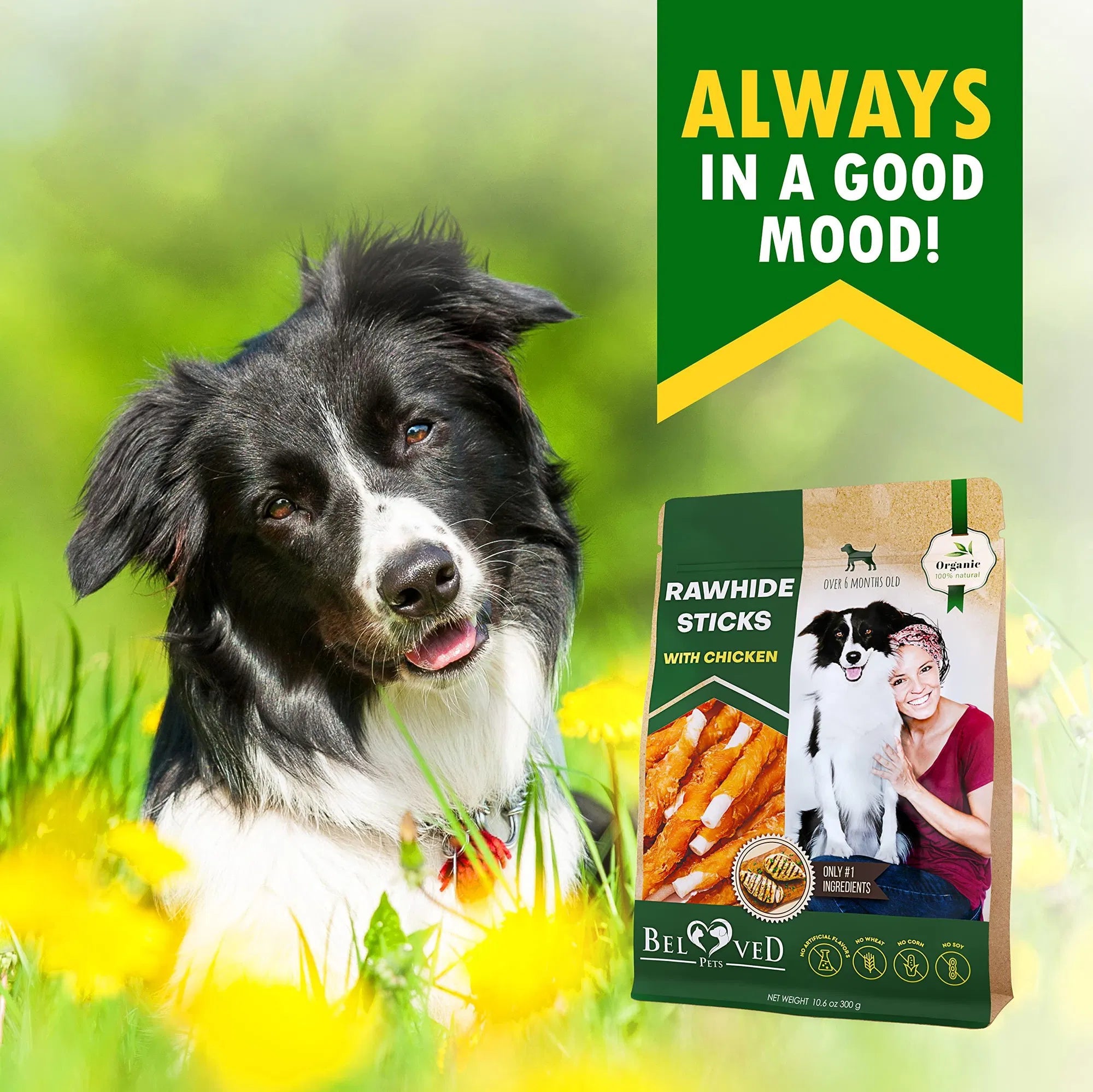 Dog Sticks Wrapped With Chicken & Pet Natural Chew Treats Grain Free Organic Meat & Human Grade Dried Snacks In Bulk For Training Small & Large Dogs